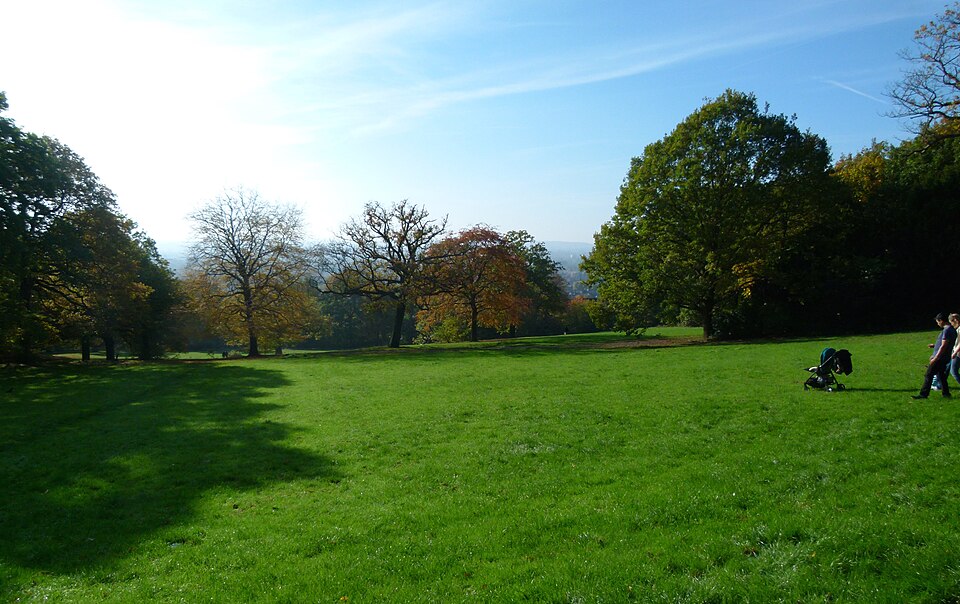 Green meadow and woodland at Oxleas, Shooters Hill