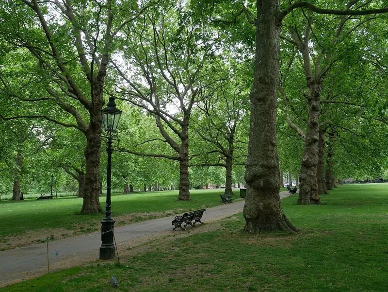 A broad path running through Green Park